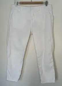 Frank & Eileen Linen Blend Wicklow pants white 10