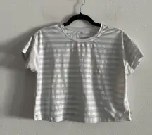 Mesh Striped Short Sleeve