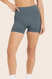 Set Active Sculptflex shorts size small