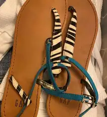 Zebra and Turquoise Flat Summer Sandals from the , Women’s Size 9