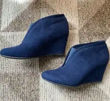 Blue Wedges