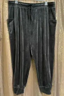 Aerie OFFLINE Gray Velour After Party Cozy Lounge Jogger Pants XXL