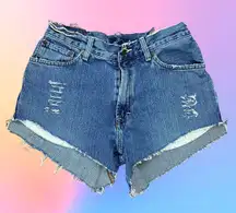 AE Distressed Denim Shorts