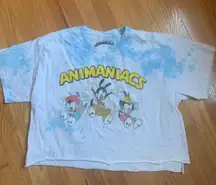 Pac Sun Cropped Tshirt