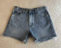 Brandy Melville High Waisted Molly Denim Blue Women's Shorts
