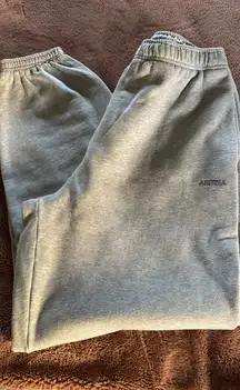 Aritzia Sweatfleece Sweatpants