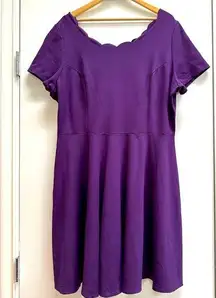 Fashion to figure purple fit and flare dress size 3X