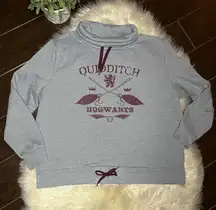 Harry Potter grey/burgundy Quidditch Hogwarts pullover sz XL