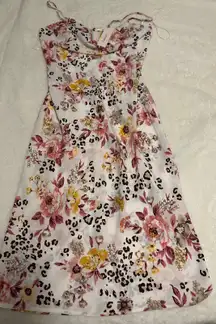 Francesca's Franceses Dress