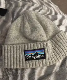 Patagonia Beanie Hat