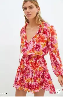 Anthropologie  MISA Los Angeles Clementine Ruffled Floral Dress