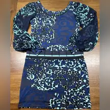 Size S Blue Floral Chiffon Long Sleeve Silk Dress