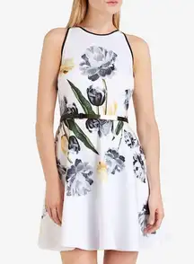 Ted Baker Symone Paper Petals Skater Dress size 3‎ US 6/8 waist 30