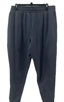 NWOT Mondetta Performance Luxury Joggers Steel Blue Drawstring Fleece XL Pkts EC