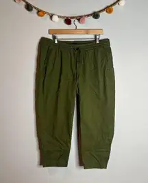 J.Crew  dark green pull on pants