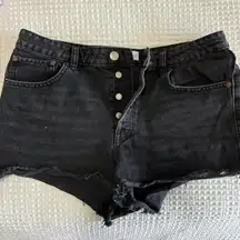 ZARA Black  Shorts