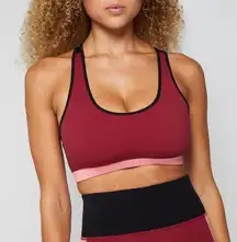 NWT  Infinity Sports Bra, M, Red Velvet/Strawberry/Black