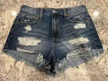 Aeropostale High-Waisted Shorts