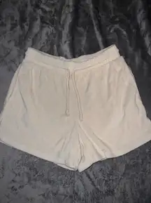 Aritzia Shorts