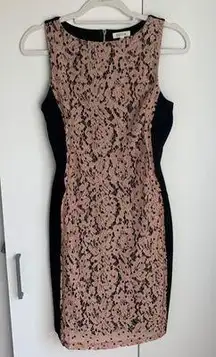 Weston Pink Black Lace Crewneck Bodycon Dress XS