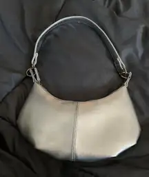 ZARA Chrome Purse