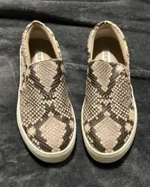 Snakeskin Shoes