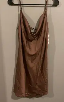 Garage NWT  Mauve Dress