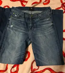 Seven For All Mankind Dojo Jeans