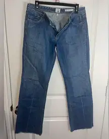 Salt Works Magnolia Cotton Straight Leg Pocket Embroidered Everyday Jeans Sz 31