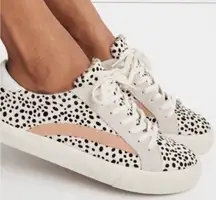 Madewell Sidewalk low top sneaker in vintage linen multi 6.5