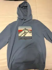 Patagonia Sweatshirt