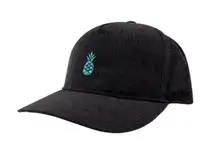 NEW Chubbies The Teal Pineapple Performance Hat Gray Snapback Hat