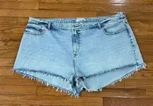 Abercrombie & Fitch NWOT  The Mom Short High Rise curve love