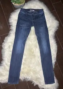 Stetson Pixie Stix Skinny Jeans Sz 2 regular