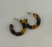 Tortoise Mini Hoops