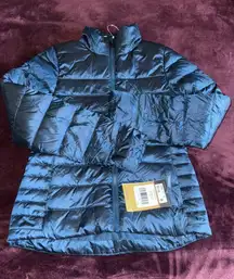 The North Face Blue Puffer Jacket