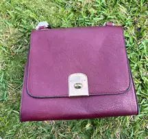 Amazon Burgundy Leather Purse