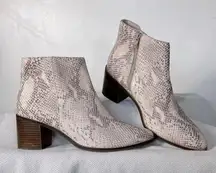 Seychelles NEW Occasion Nueutral Snake Print Ankle Boot- Size 8