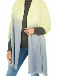 ✨Ellen Tracy Woven Ombre Ultra Soft Scarf✨
