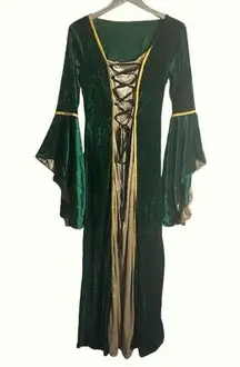 Halloween Costume Green Velour Maxi Long Sleeve Dress Witch Sanderson Goth