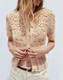 Zara Cream Knit Button-Up Blouse size M