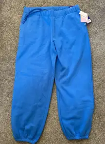 NWT! Women’s JoyLab blue loose fit mid rise sweatpants joggers Large