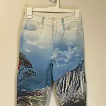MOTHER High Waisted Looker Ankle A Day In Paradise Unique Patterned Jeans Sz 24