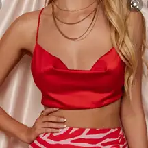 Beginning Boutique Blake Crop Top in Red Satin Size S