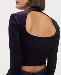 Purple Sparkly Long Sleeve crop Top