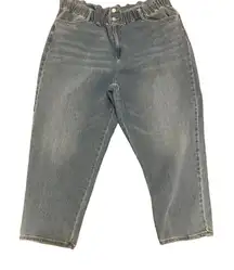 Wonderly Plus Size‎ 20 Blue Paperbag Waist Stretch Jeans Women's Light Wash