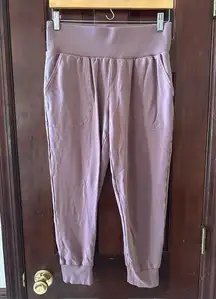 Nike  Mauve Size Medium Dry Fit Joggers