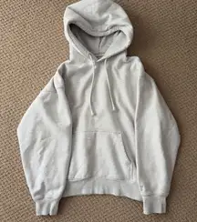Aritzia TNA Boyfriend Hoodie