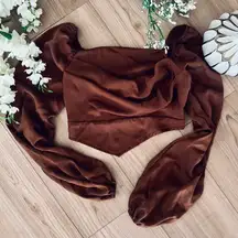 Chocolate Brown Silk Top