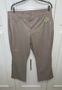 NWT American‎ Eagle Women's 16 Beige Leather Curvy Kick Boot Crop